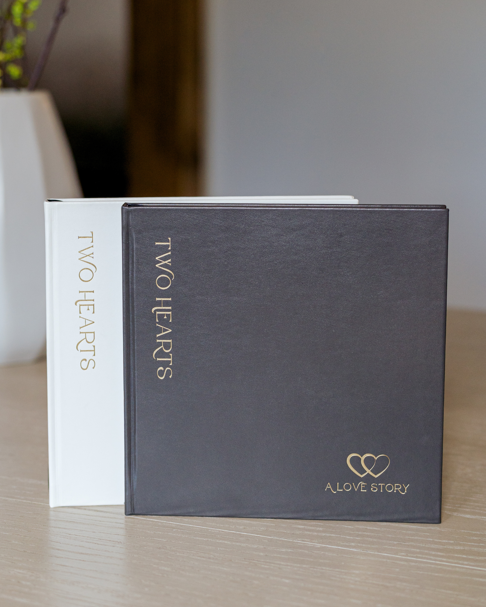 Kelley Williams Photography, Two Hearts - A Love Story couples love journal/photo album, gray/ivory