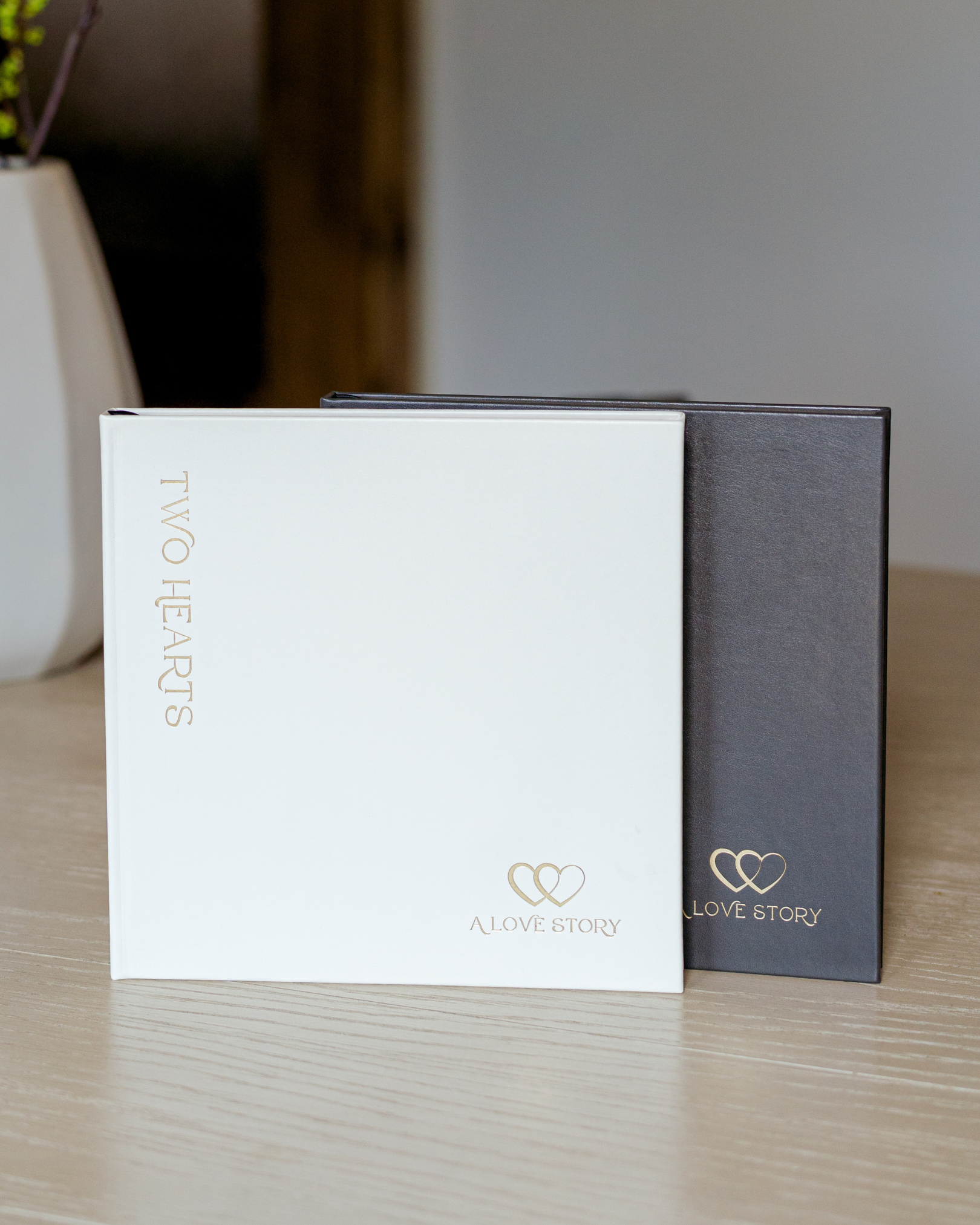 Kelley Williams Photography, Two Hearts - A Love Story couples love journal/photo album, ivory/gray